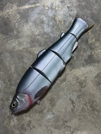 Image 3 of Immortal Trout 7.7 “Platinum Shad”