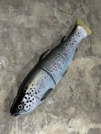 Image 2 of Immortal Trout 7.7 “Civil Dawn”