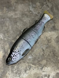 Image 1 of Immortal Trout 7.7 “Civil Dawn”