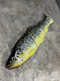 Image 2 of Immortal Trout 7.7 “Brown Trout”