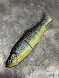 Image 1 of Immortal Trout 7.7 “Brown Trout”