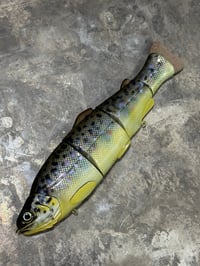 Image 3 of Immortal Trout 7.7 “Brown Trout”