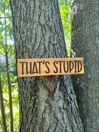 Image 2 of That’s Stupid