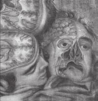 *PRE-ORDER* Genocide Organ - :虐殺機関 : 2xLP (Tesco)