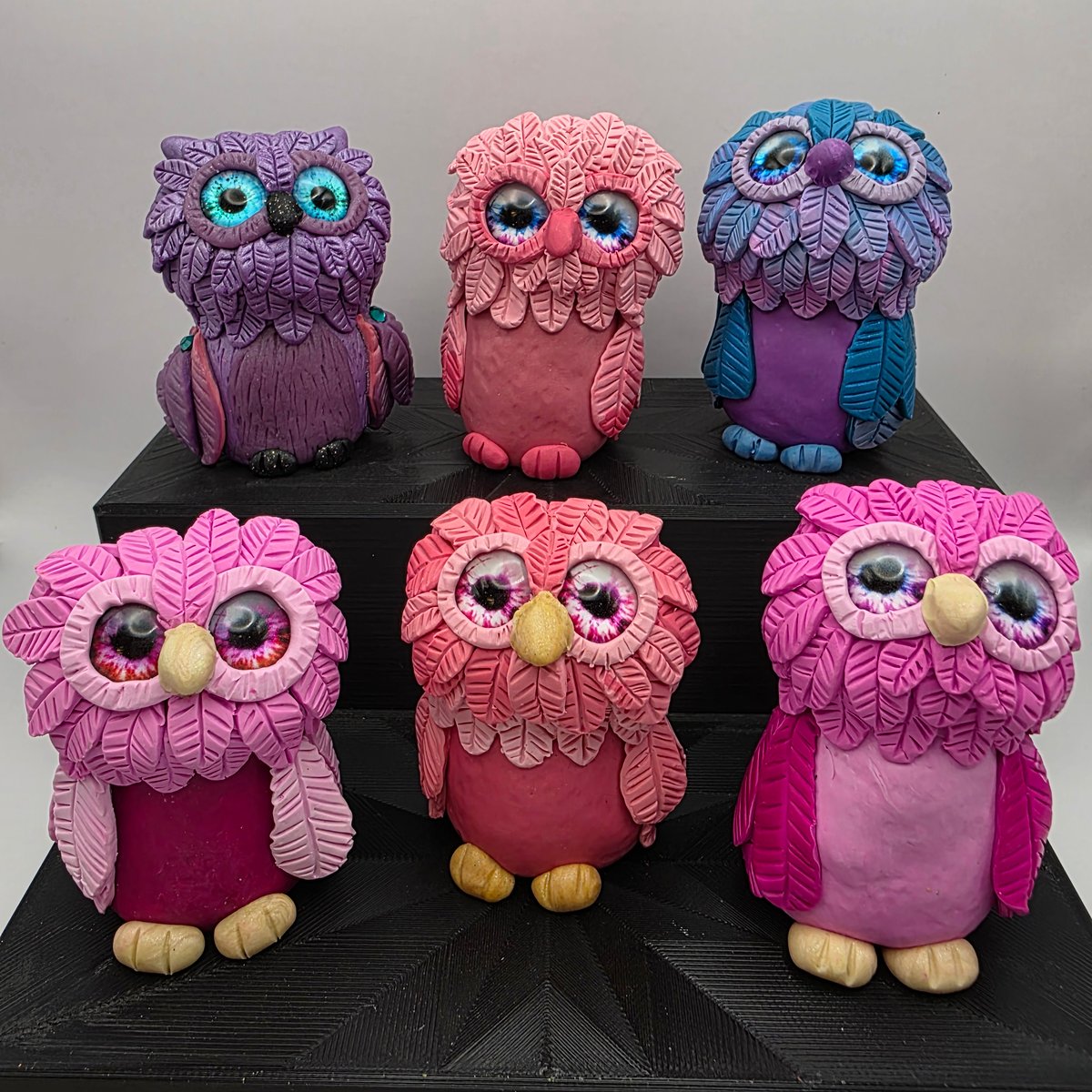 Little Owls