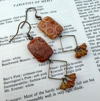 Fossil Coral Earrings