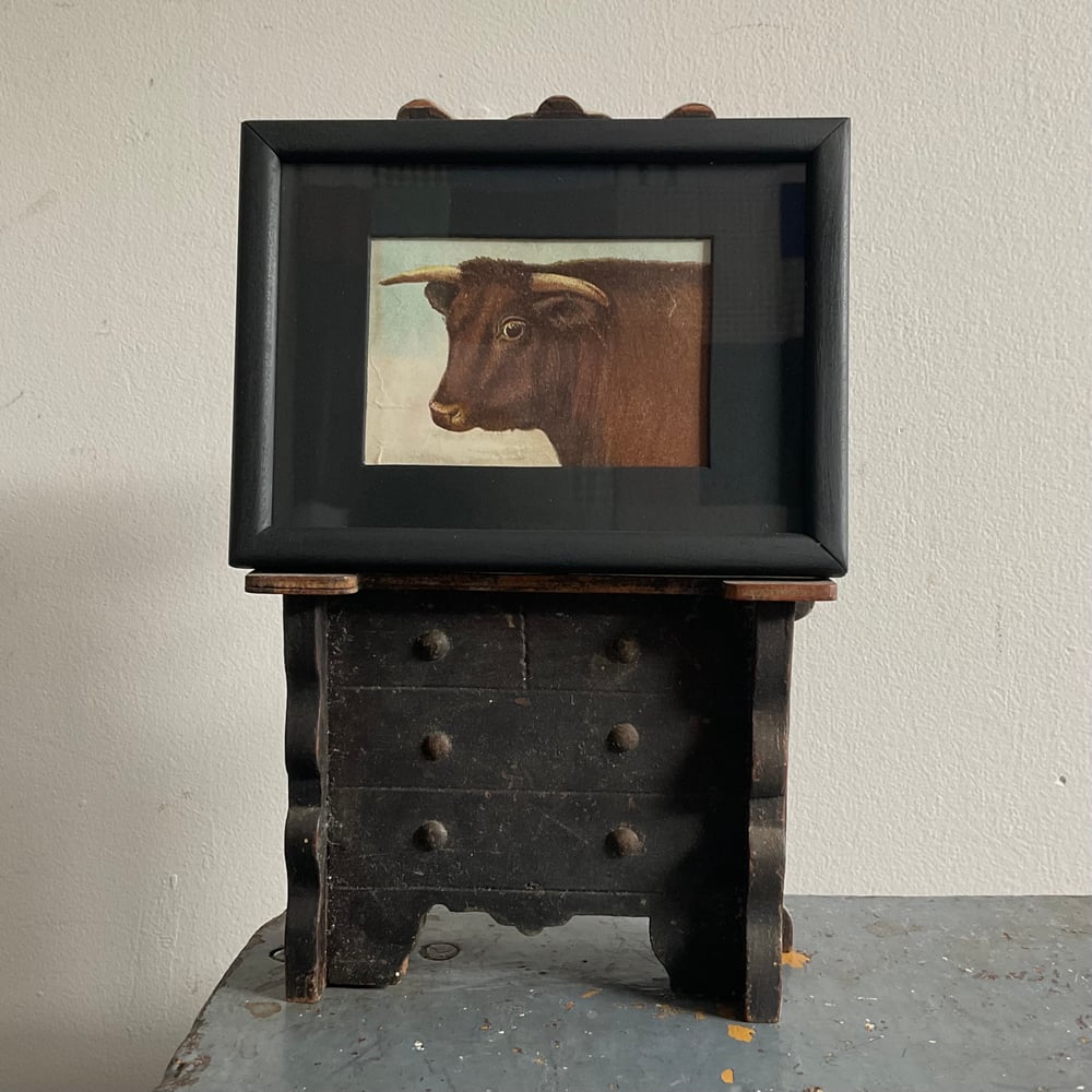 Image of Little Cow Picture 