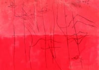 Parehuia turns 20, poster project - Anoushka Akel