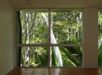 Parehuia turns 20, poster project - Regan Gentry