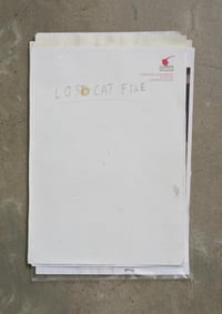 Parehuia turns 20, poster project - Ava Seymour