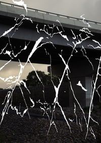 Parehuia turns 20, poster project - Tim Wagg