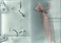 Parehuia turns 20, poster project - George Watson