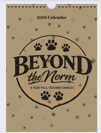 Beyond the Norm 