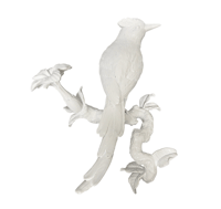 White Wall Perched Bird