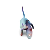 Image 4 of Sugoi Chikkoi Neko "The One That Didn't Get Away"