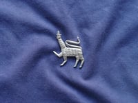 Image 1 of Manticore Pin