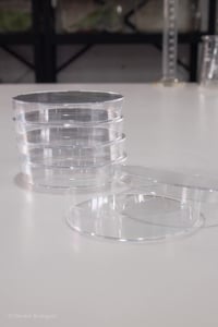 Petri Dishes