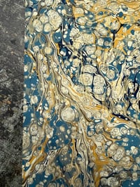 Image 6 of 'DOUBLE MARBLED' blue spot No.1 