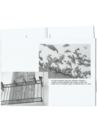 Image 3 of Los santos, los inocentes, los peces, y el vino (peregrinaje para la crisis de fe del siglo XXI)