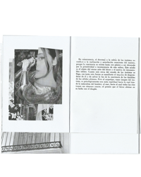 Image 4 of Los santos, los inocentes, los peces, y el vino (peregrinaje para la crisis de fe del siglo XXI)