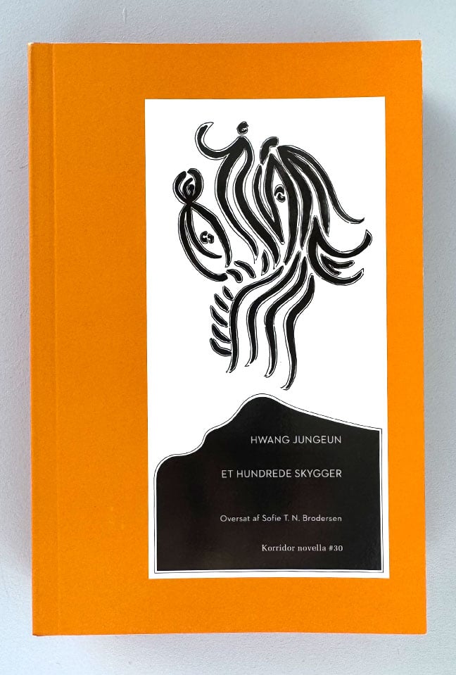 Image of Et hundrede skygger