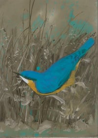Reproduction : "Sitelle"