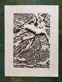 Image 1 of Snowy Shinrin-yoku