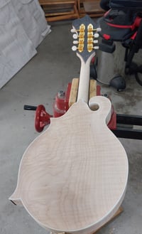 Image 2 of COMING SOON  F- Style Modified  Mandolin 