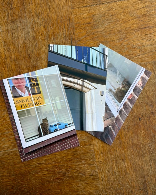 Image of 'Cats and Dogs in the Window' - postcardset #2