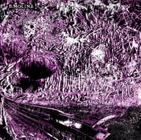B. Molina ‎'Aleación Y Submersion' LP