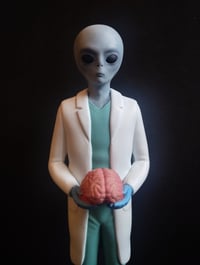 Image 1 of THE DOCTOR.