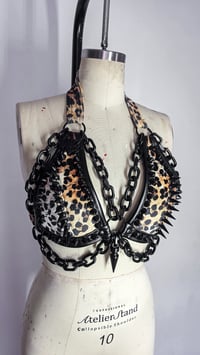 Image 4 of Leopard Rockstar Bra - Black