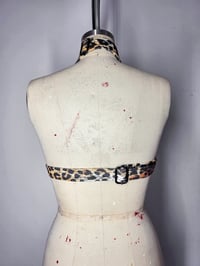 Image 9 of Leopard Rockstar Bra - Black