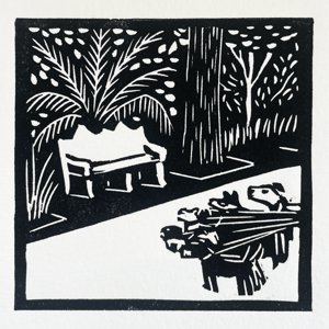 The Dog Walker - Mexico City