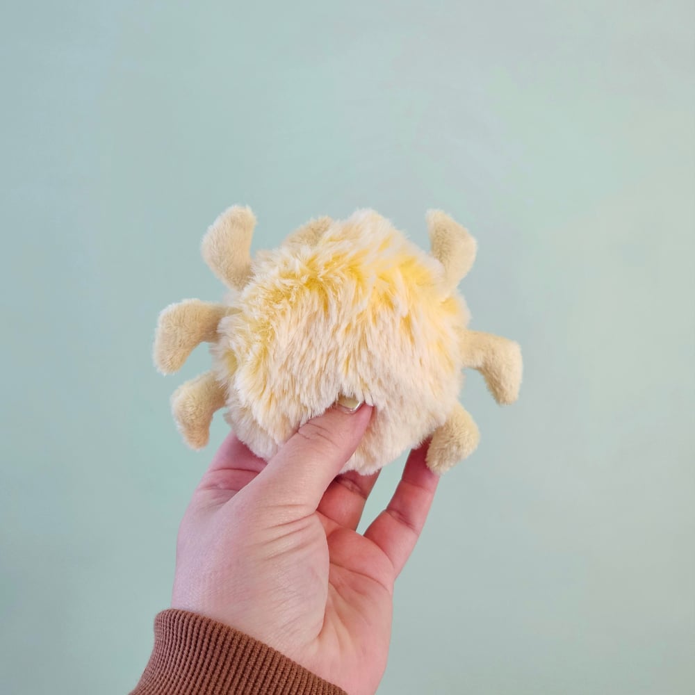 Image of Butterball Mini Tarantula