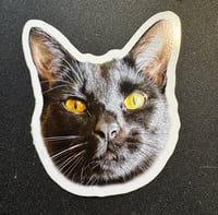 Monday sticker