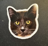 Egg Sticker