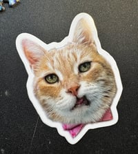 Chips Sticker