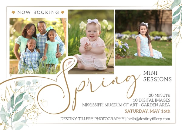Image of Spring Mini Sessions 