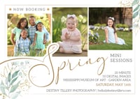 Spring Mini Sessions 