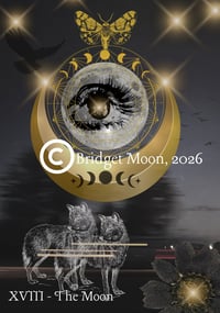 Image 2 of Pre-Order Poetic Moon Tarot Deck