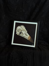 Image 1 of Bad Omen