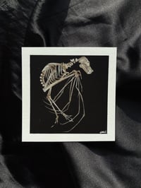 Image 2 of Night Creature