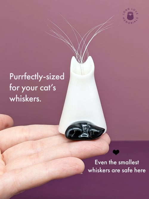 Image of Black Cat Whisker Holder: Cat Ears Design