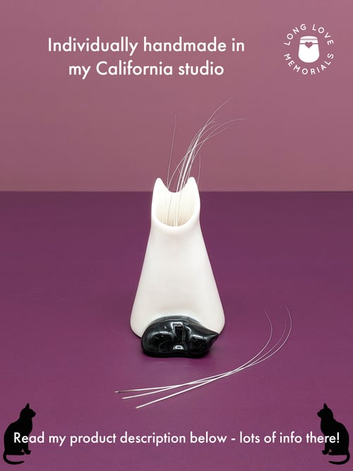 Image of Black Cat Whisker Holder: Cat Ears Design