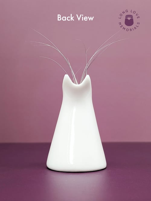 Image of Black Cat Whisker Holder: Cat Ears Design