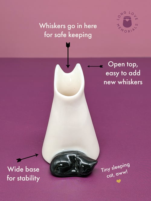 Image of Black Cat Whisker Holder: Cat Ears Design