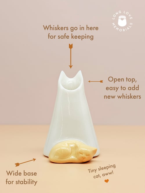 Image of Orange Cat Whisker Holder: Cat Ears Design