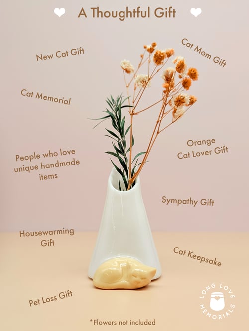 Image of Orange Cat Whisker Holder: Cat Ears Design