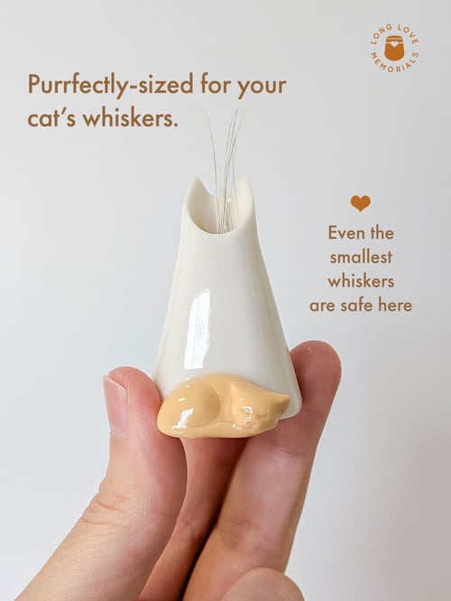 Image of Orange Cat Whisker Holder: Cat Ears Design